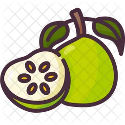 Guava  Icon