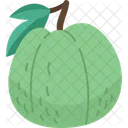 Guava  Icône