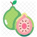 Guava Guava Fruit Fruit Icon