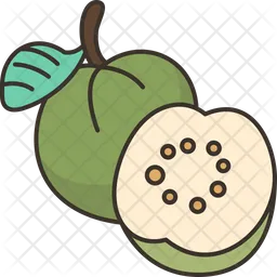 Guava  Icon