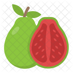 Guava Icon