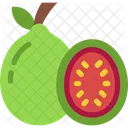 Guava Fruits Vegan Icon