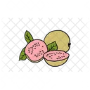 Guava Fruit Food Icon