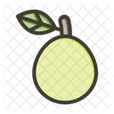 Guava  Icon