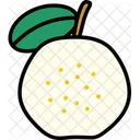Guava Cut  Icon