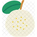 Guava Cut Guava Vegetable Icon