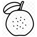 Guava Cut  Icon