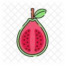 Guava fruit  Icon