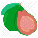 Guava Fruit Gooseberry Icon