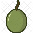 Guava Icon