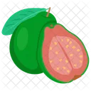 Guava  Icon