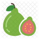 Guava  Icon