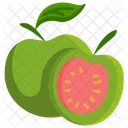 Guava  Icon