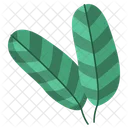 Guava Leaf  Icon