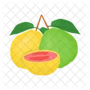 Guava  Icon