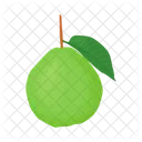 Guava  Icon