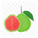 Guava  Icon