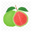 Guava  Icon