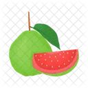 Guava  Icon