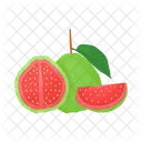Guava  Icon