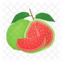 Guava  Icon
