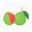 Guava  Icon