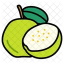 Guava-with-half-cut  Icon