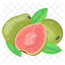 Guavas  Icon