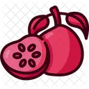 Guayaba  Icon