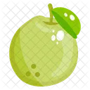 Guayaba Fruta Fruta Tropical Icono