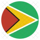 Guyana Nacional Pais Icono