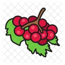 Guelder Rose  Icon