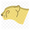 Guepardo  Icono