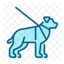 Guide dog  Icon