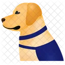 Guide Dog Dog Pet Icon
