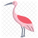 Passaro Guindaste Flamingo Passaro Que Nao Voa Ícone