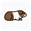 Guinea Pig Pet Icon