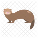 Guinea Pig  Icon