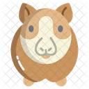 Guinea Pig  Icon