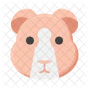 Guinea Pig Animal Pet Icon