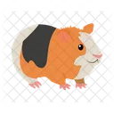Guinea Pig Animal Rodent Icon
