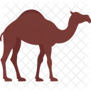 Gulf Camel Camel Desert Animal Icon
