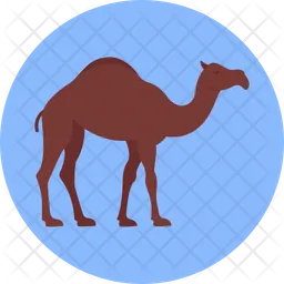 Gulf Camel  Icon