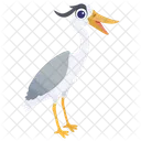 Gull Seagull Seabird Icon