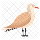Gull Icon