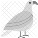 Gull Bird Fly Icon