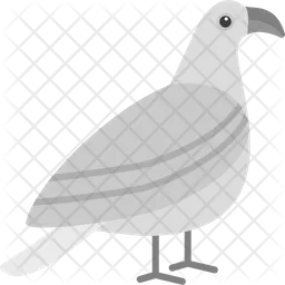 Gull  Icon