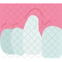 Gum Receding Periodontal Icon