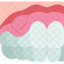 Gum Swollen Inflammation Icon