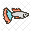 Fish Animal Aquarium Icon